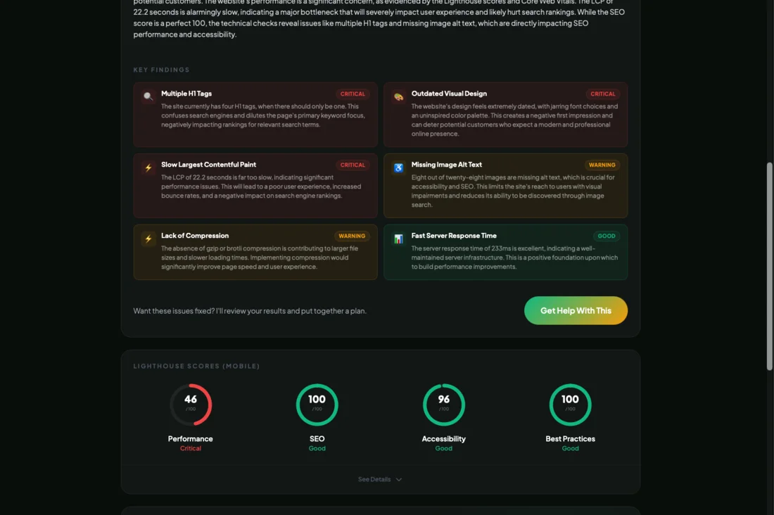Website Audit Tool screenshot